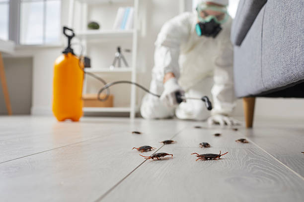 Commercial Kitchen Cockroach Control in Tahoe Vista